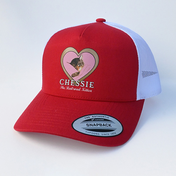 detail_3983_chessie_hat_1_large.jpg