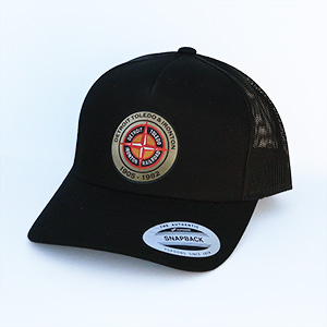 DT&I Cap